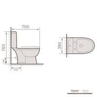 YS22210S WC in ceramica a 2 pezzi dal design retrò, WC a cacciata con sifone a P monoblocco;