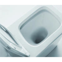 YS22251P WC in ceramica senza bordo a 2 pezzi, WC a cacciata con sifone a P;