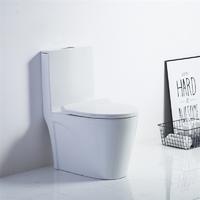 YS24211 WC in ceramica monopezzo, sifonico;