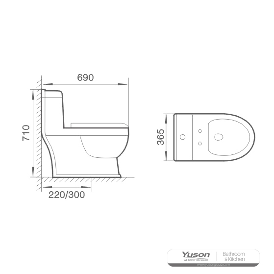 YS24256 WC in ceramica monoblocco, a sifonia;