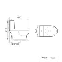 YS24256 WC in ceramica monoblocco, a sifonia;