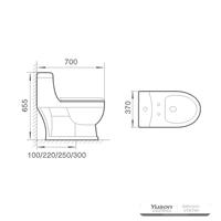 YS24258 WC in ceramica monopezzo, sifonico;