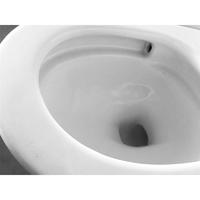 YS24271 WC in ceramica monopezzo, a sifonia;