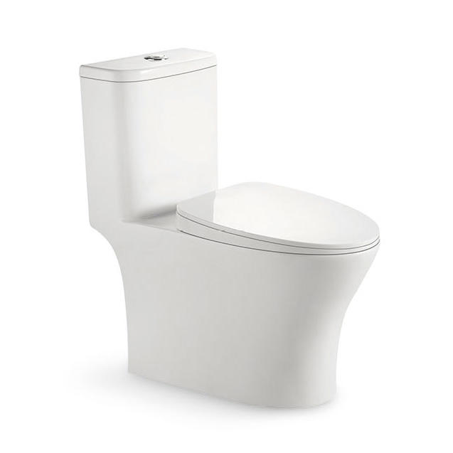 YS24282 WC in ceramica monopezzo, sifonico;