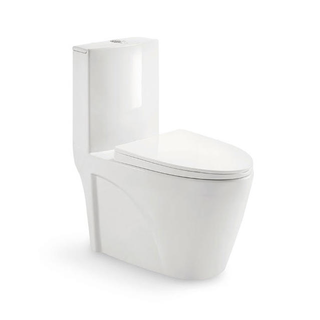 YS24283 WC in ceramica monopezzo, sifonico;