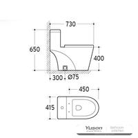 YS24284 WC in ceramica monopezzo, a sifonia;