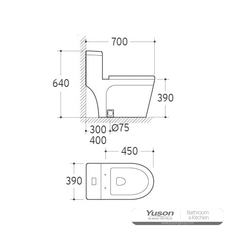 YS24286 WC in ceramica monoblocco, a sifonia;